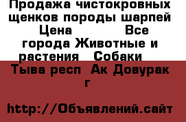 Продажа чистокровных щенков породы шарпей › Цена ­ 8 000 - Все города Животные и растения » Собаки   . Тыва респ.,Ак-Довурак г.